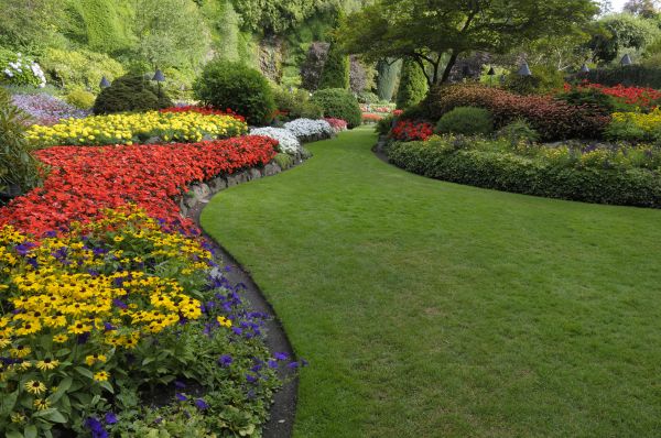 Landscaping Maintenance in Madison