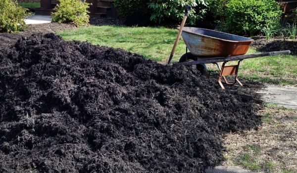 Black Mulch Delivery in Madison