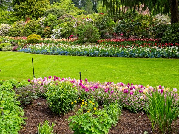 Residential Landscape Design in Madison