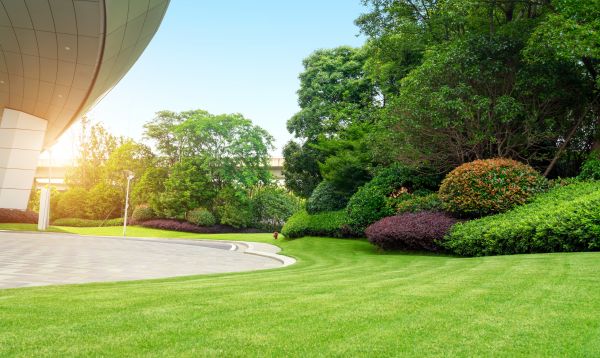 Business Landscape Design in Madison