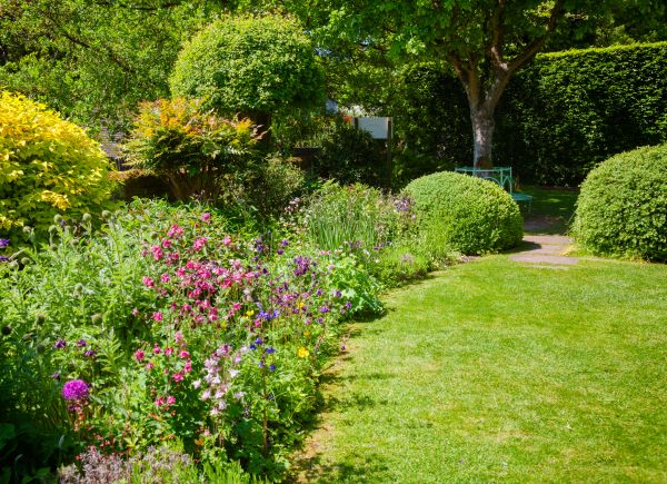 Yard Landscaping Service in Madison