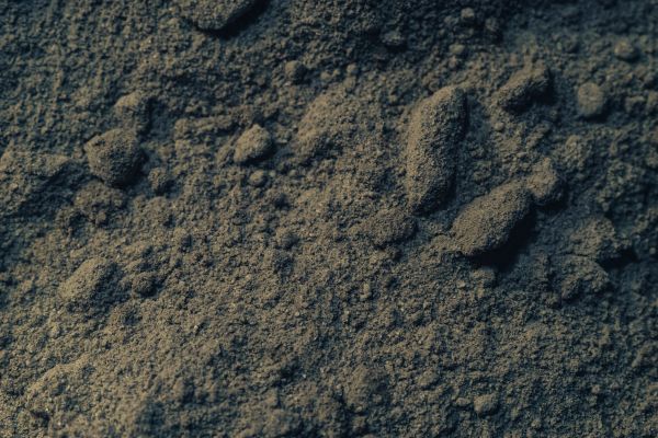 Loam Delivery in Madison