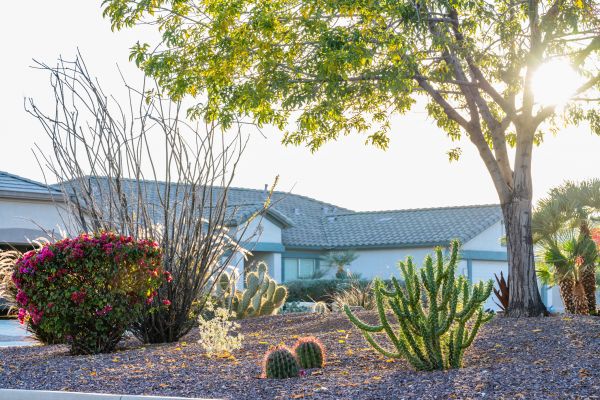 Dryscape Landscaping in Madison
