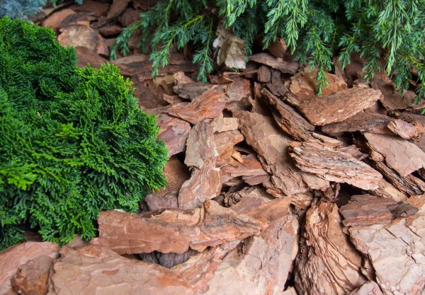 Pine Bark Installation in Madison