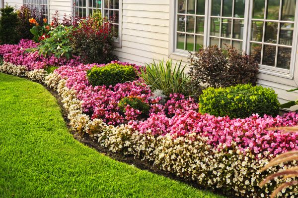 House Landscaping in Madison