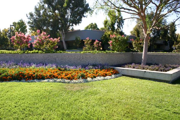 Commercial Landscape Service in Madison