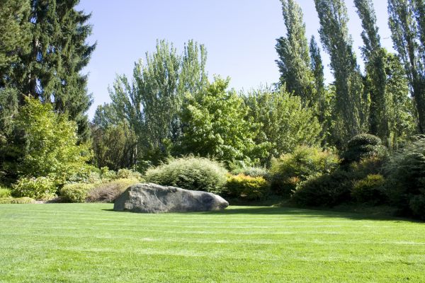 Yard Enlargement in Madison