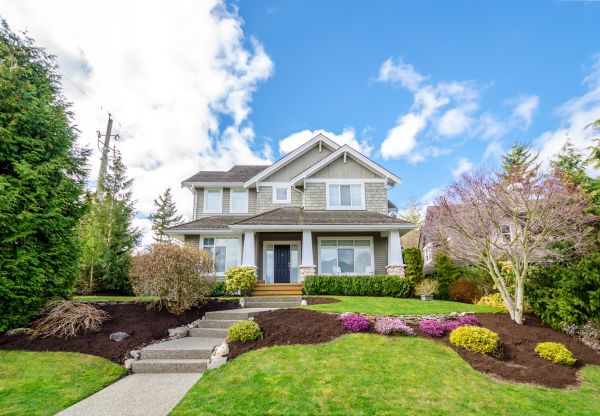 Landscaping Replacement in Madison